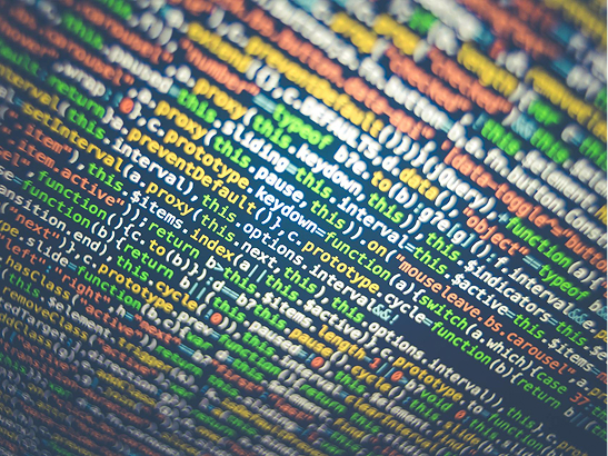 Web & Technology